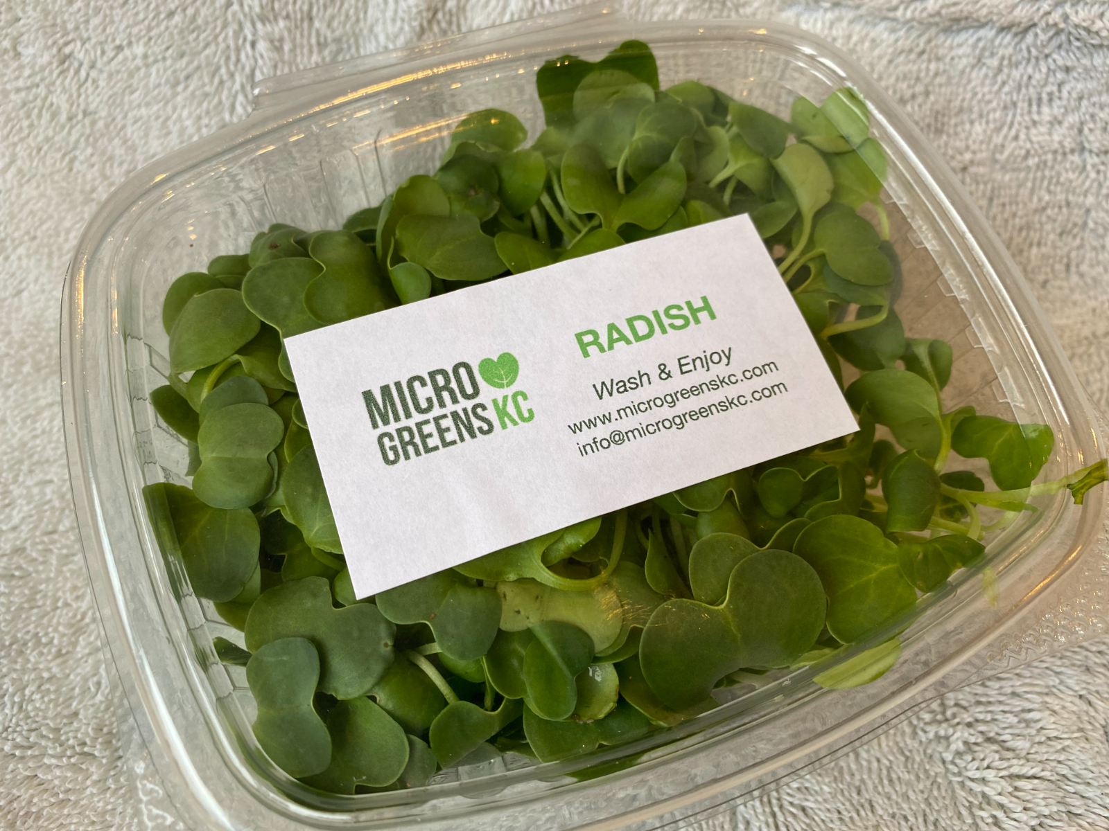 radish-microgreens-20